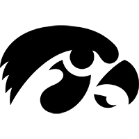 狮的调整或